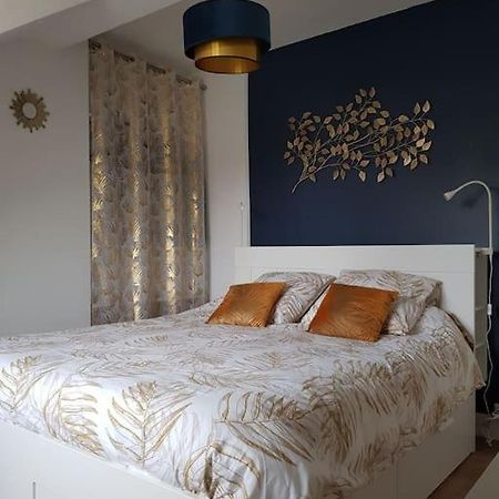 Appartement Lumineux Et Moderne Le Mans Kültér fotó